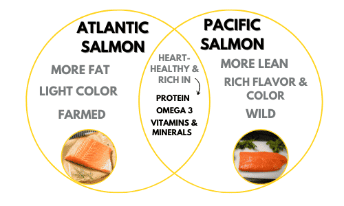 venn diagram re: atlantic vs pacific salmon. One circlue has atlantic salmon with descriptions of more fat, light color, farmed and pacific salmon is described as more lean, rich flavor and color, wild. The final circle is overlapping that discribes both types of fsalmon as heart healthy and rich in protein, omega 3, vitamins and minerals