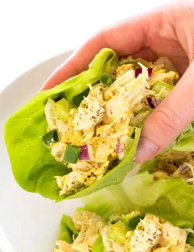 A person's hand holding a lettuce wrap with shredded chicken inside. 