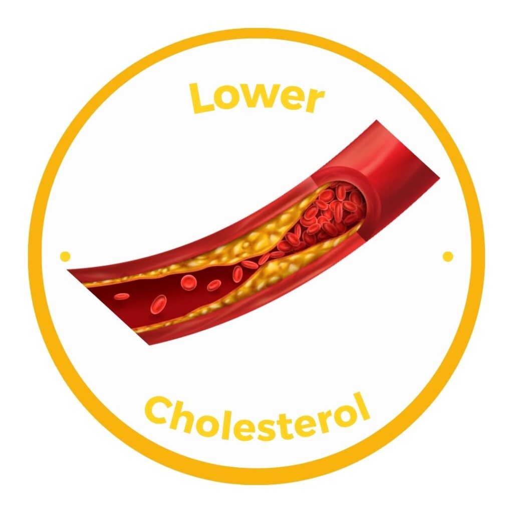 Yellow circle button with link to lower cholesterol blog category and a picture of a cartoon artery with plaque buildup.