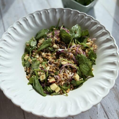 Farro and lentil thanksgiving salad in a white bowl, beside a box of spinach.
