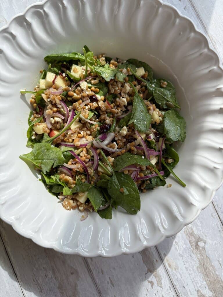 Farro and lentil thanksgiving salad in a white bowl, looking at it top down.